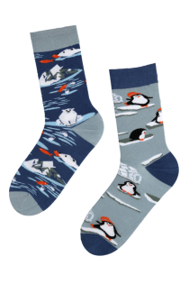 ANIMAL WORLD socks with polar bears and penguins for men | BestSockDrawer.com