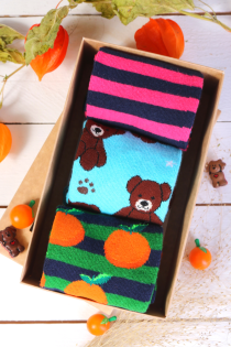 BEAR gift box with 3 pairs of socks | BestSockDrawer.com