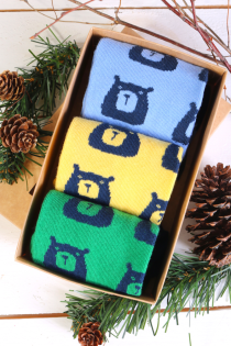 THREE BEARS gift box with 3 pairs of socks | BestSockDrawer.com