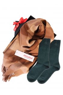 Alpaca wool scarf and DOORA green socks gift box for women | BestSockDrawer.com