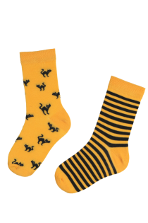 SCAREDY-CAT striped Halloween socks with yellow cats for kids | BestSockDrawer.com