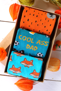 COOL DAD father's day gift box with 3 pairs of socks | BestSockDrawer.com