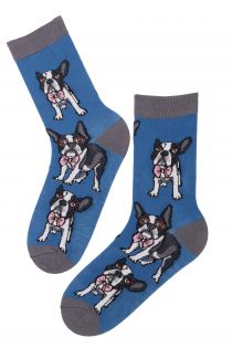 FRENCHIE cotton socks | BestSockDrawer.com