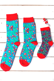 LINGONBERRY gift box for the whole family with 3 pairs of socks | BestSockDrawer.com