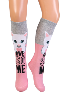 NOVA pink cotton knee-highs with cats for kids | BestSockDrawer.com