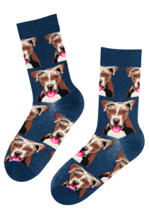 PITBULL cotton socks with dogs for men | BestSockDrawer.com