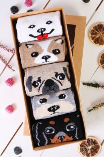 PUPPY gift box containing 5 pairs of socks | BestSockDrawer.com