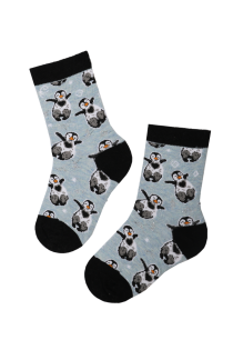 LOLO cotton socks with penguins | BestSockDrawer.com