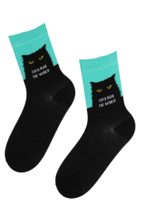 CATS RULE THE WORLD cat socks with a green edge | BestSockDrawer.com