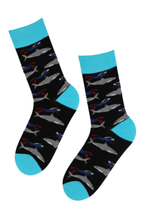 WILD black socks with sharks | BestSockDrawer.com