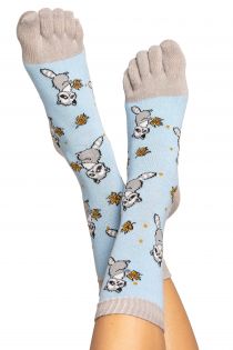 RACOON patterned toe socks for men and women | BestSockDrawer.com