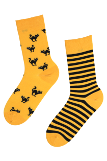 SCAREDY-CAT striped Halloween socks with a yellow cat | BestSockDrawer.com