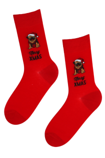 XMAS red Christmas socks with a pug | BestSockDrawer.com