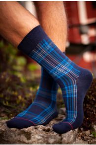 CARL men's socks with blue stripes | BestSockDrawer.com