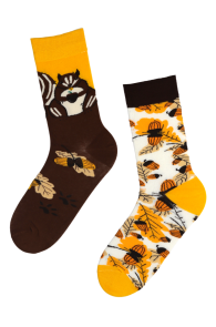 ANIMAL WORLD socks with squirrels for men | BestSockDrawer.com