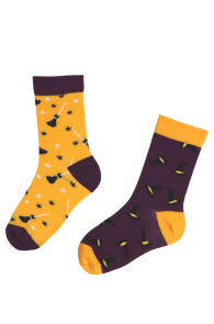 HOCUS POCUS Halloween socks with brooms and witch hats for kids | BestSockDrawer.com