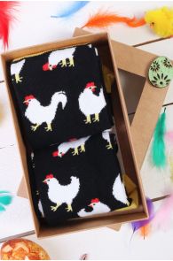 CHICKEN FAM gift box containing 2 pairs of socks | BestSockDrawer.com