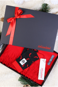 Alpaca wool gift box with a red scarf and PEPPER socks | BestSockDrawer.com