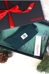 Alpaca wool green scarf and DOORA socks gift box | BestSockDrawer.com