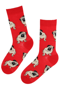 MOPS red cotton socks with dogs for men | BestSockDrawer.com