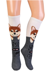 NOVA cotton knee-highs with shiba inu dogs for kids | BestSockDrawer.com