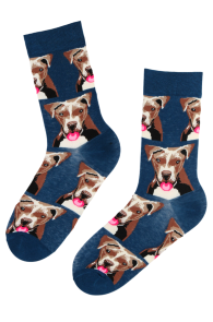 PITBULL cotton socks with dogs for men | BestSockDrawer.com