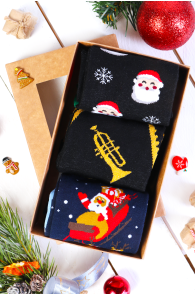 BROWN BEAR gift box with 3 pairs of socks | BestSockDrawer.com