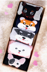 DOG gift box for women with five socks | BestSockDrawer.com