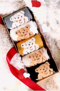 TEDDY BEAR gift box with 5 pairs of socks | BestSockDrawer.com