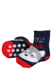 TRUDI blue socks with a wolf for babies | BestSockDrawer.com
