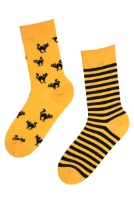 SCAREDY-CAT striped Halloween socks with a yellow cat | BestSockDrawer.com