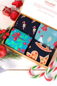 WINTERTIME gift box with 4 pairs of socks | BestSockDrawer.com